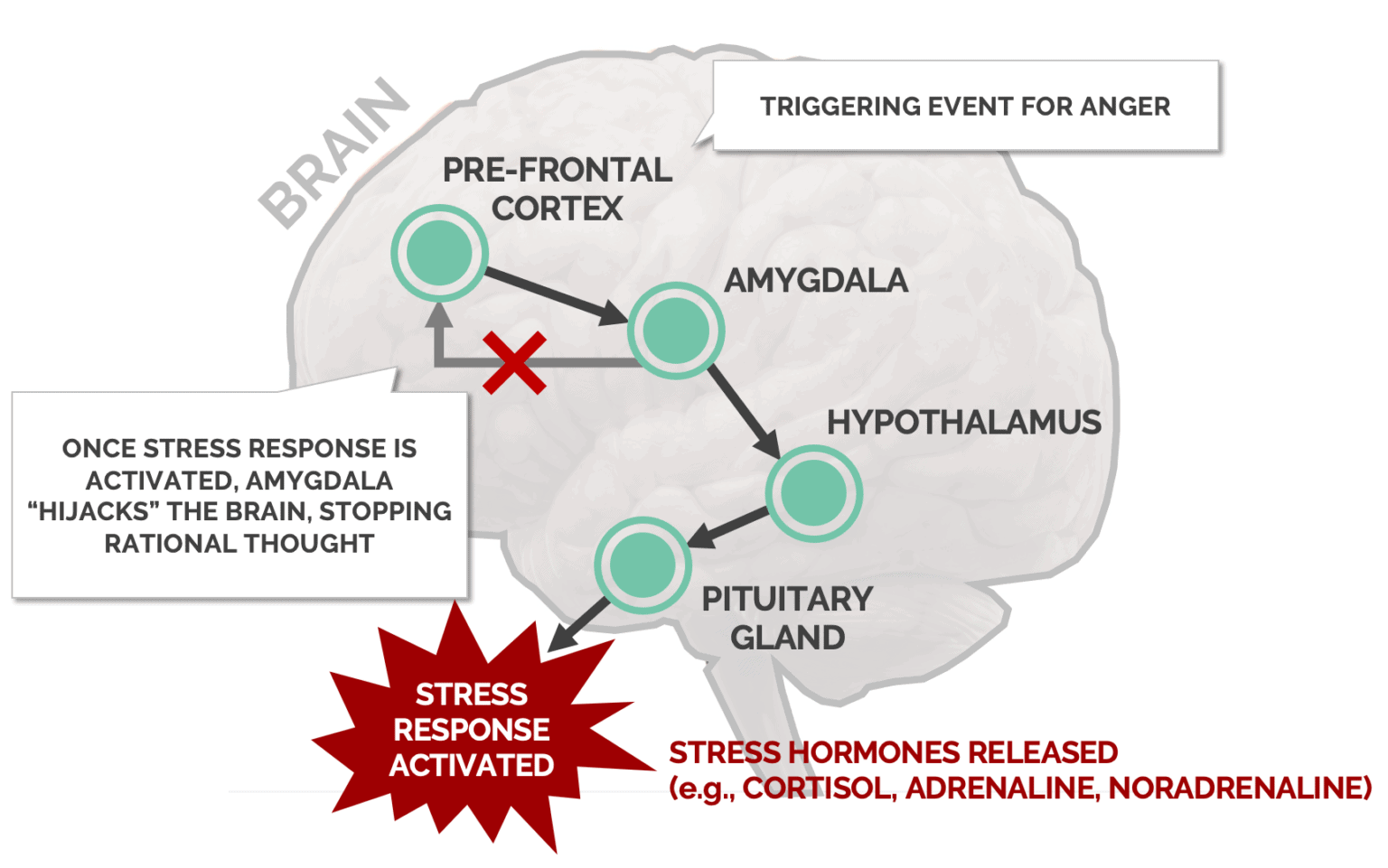 anger-management-a-comprehensive-guide-tokyo-mental-health